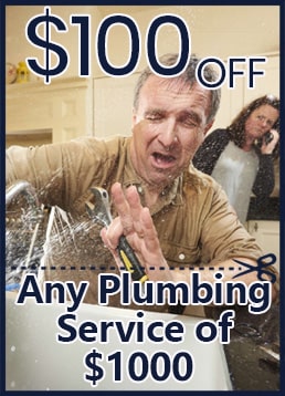 Special Offer Plumbing 100